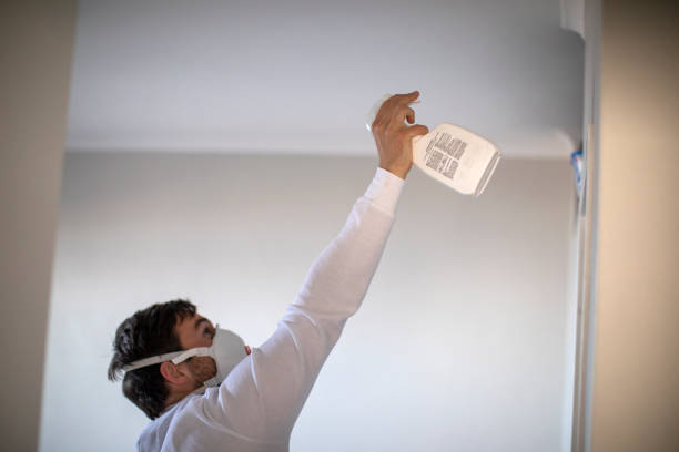 Best Localized Mold Remediation (e.g., coastal areas, humid climates) in Wheaton, IL