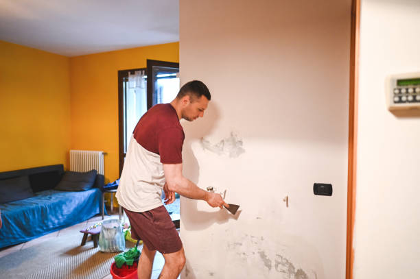 Wheaton, IL Mold Remediation Company